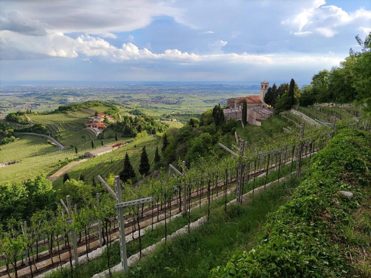 Il Glicine Rosa Hotel Parona di Valpolicella Eksteriør billede